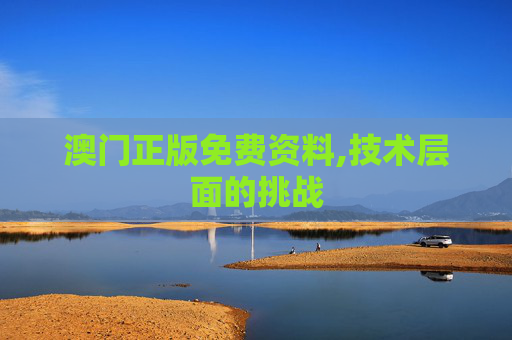 澳门正版免费资料,技术层面的挑战