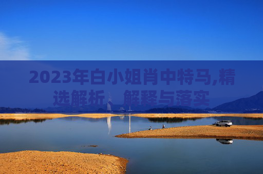 2023年白小姐肖中特马,精选解析、解释与落实