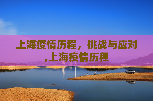上海疫情历程，挑战与应对,上海疫情历程
