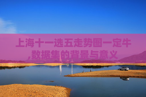 上海十一选五走势图一定牛,数据集的背景与意义