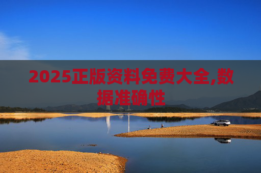 2025正版资料免费大全,数据准确性