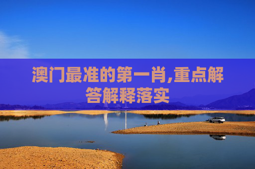 攻略 第218页