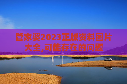 管家婆2023正版资料图片大全,可能存在的问题