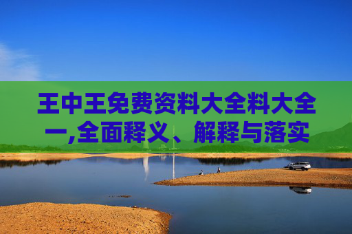 王中王免费资料大全料大全一,全面释义、解释与落实