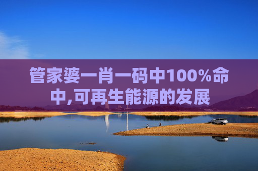 管家婆一肖一码中100%命中,可再生能源的发展