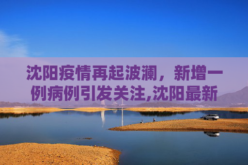 沈阳疫情再起波澜，新增一例病例引发关注,沈阳最新疫情又新增一例