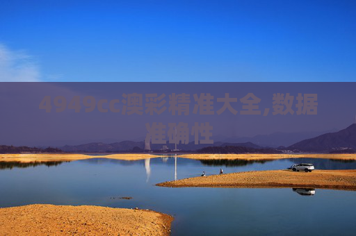 4949cc澳彩精准大全,数据准确性