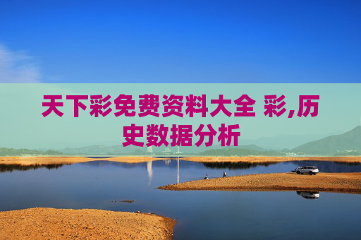 天下彩免费资料大全 彩,历史数据分析