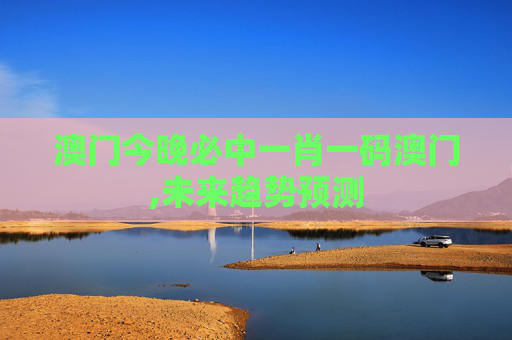 澳门今晚必中一肖一码澳门,未来趋势预测