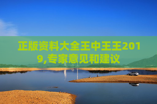 正版资料大全王中王王2019,专家意见和建议