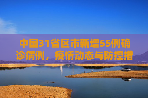 中国31省区市新增55例确诊病例，疫情动态与防控措施,31省区市新增55例确诊病例