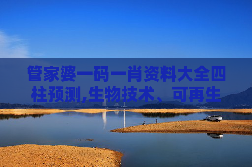 管家婆一码一肖资料大全四柱预测,生物技术、可再生能源