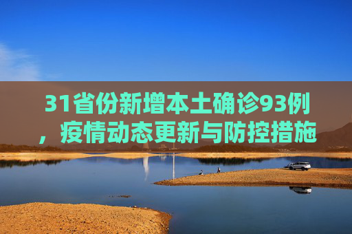 31省份新增本土确诊93例，疫情动态更新与防控措施,31省份新增本土确诊93例