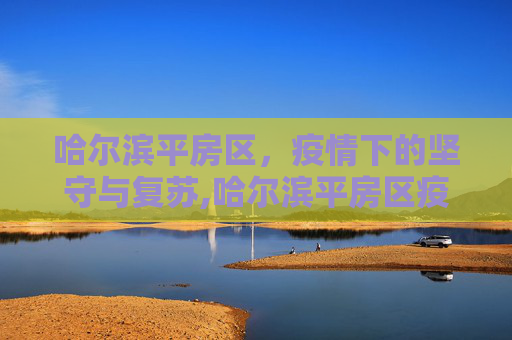 哈尔滨平房区，疫情下的坚守与复苏,哈尔滨平房区疫情
