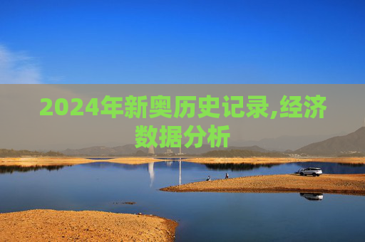 2024年新奥历史记录,经济数据分析