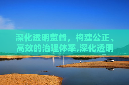 深化透明监督，构建公正、高效的治理体系,深化透明监督