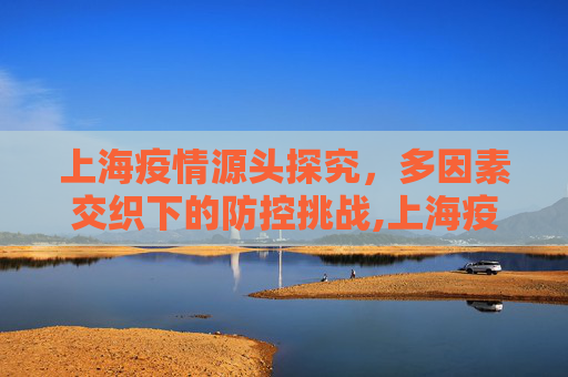 上海疫情源头探究，多因素交织下的防控挑战,上海疫情源头
