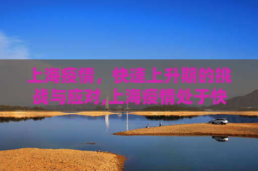 上海疫情，快速上升期的挑战与应对,上海疫情处于快速上升期