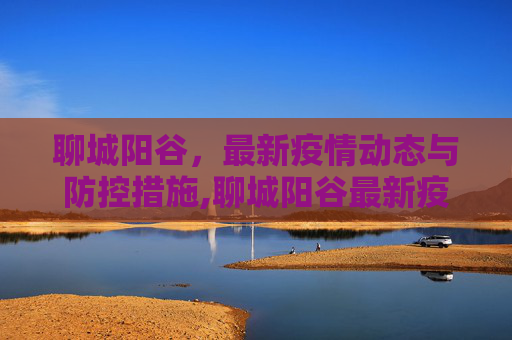 聊城阳谷，最新疫情动态与防控措施,聊城阳谷最新疫情最新