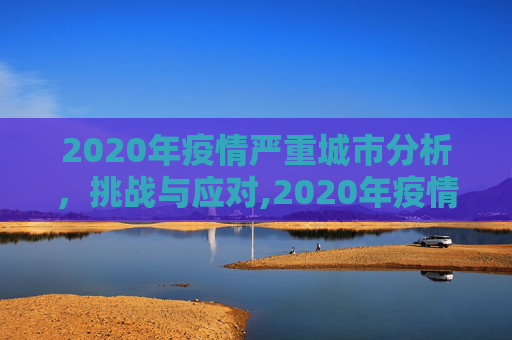 2020年疫情严重城市分析，挑战与应对,2020年疫情严重城市分析