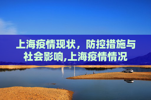 上海疫情现状，防控措施与社会影响,上海疫情情况