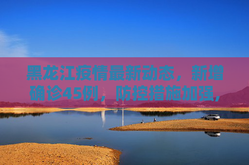 黑龙江疫情最新动态，新增确诊45例，防控措施加强,黑龙江新增确诊45例