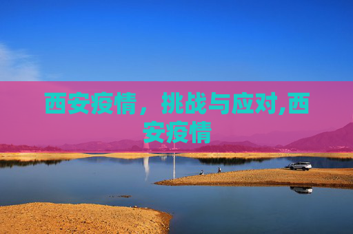 西安疫情，挑战与应对,西安疫情