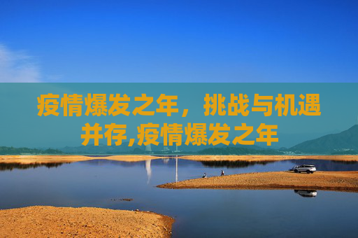 疫情爆发之年，挑战与机遇并存,疫情爆发之年