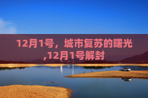 12月1号，城市复苏的曙光,12月1号解封