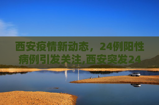 西安疫情新动态，24例阳性病例引发关注,西安突发24例阳性