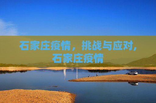 石家庄疫情，挑战与应对,石家庄疫情