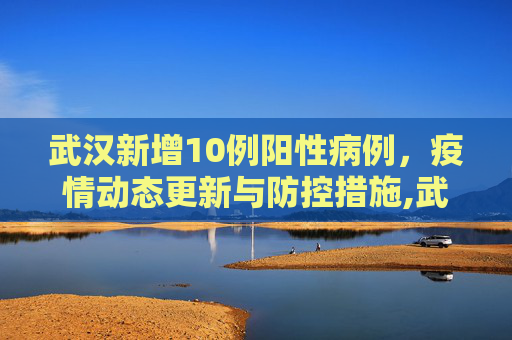 武汉新增10例阳性病例，疫情动态更新与防控措施,武汉新增10例阳性