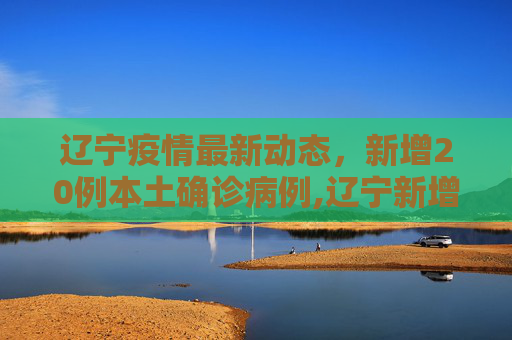 辽宁疫情最新动态，新增20例本土确诊病例,辽宁新增20例本土确诊