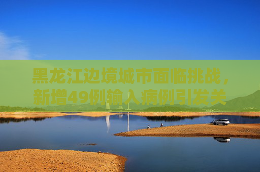 黑龙江边境城市面临挑战，新增49例输入病例引发关注,黑龙江新增49例输入病例