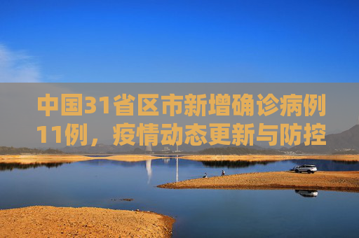 中国31省区市新增确诊病例11例，疫情动态更新与防控措施,31省区市新增确诊病例11例