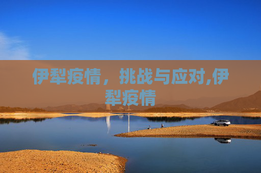 伊犁疫情，挑战与应对,伊犁疫情
