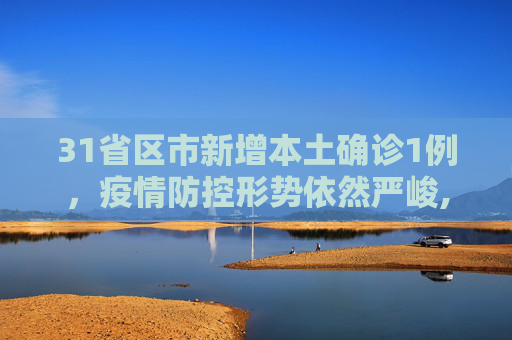 31省区市新增本土确诊1例，疫情防控形势依然严峻,31省区市新增本土确诊1例