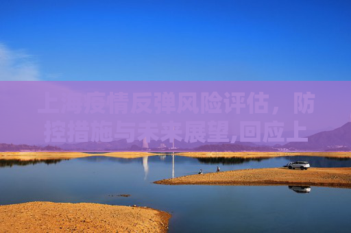 上海疫情反弹风险评估，防控措施与未来展望,回应上海疫情是否会反弹