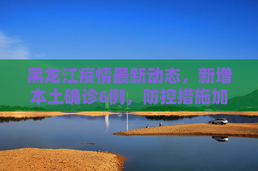 黑龙江疫情最新动态，新增本土确诊6例，防控措施加强,黑龙江新增本土确诊6例