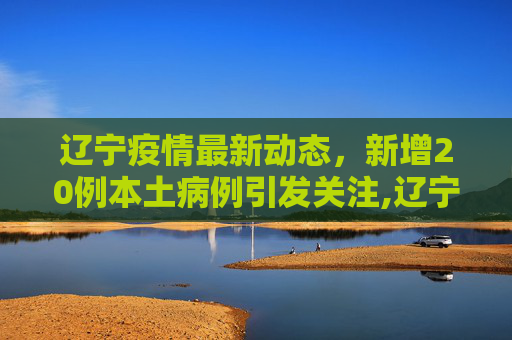 辽宁疫情最新动态，新增20例本土病例引发关注,辽宁新增20例本土