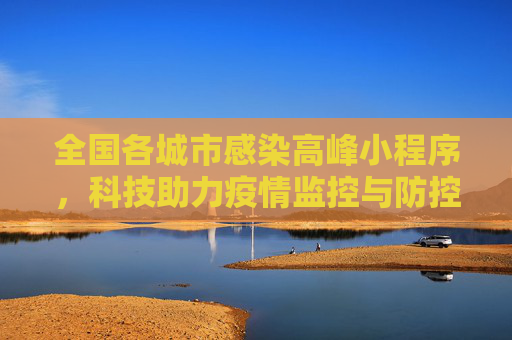 全国各城市感染高峰小程序，科技助力疫情监控与防控,全国各城市感染高峰小程序