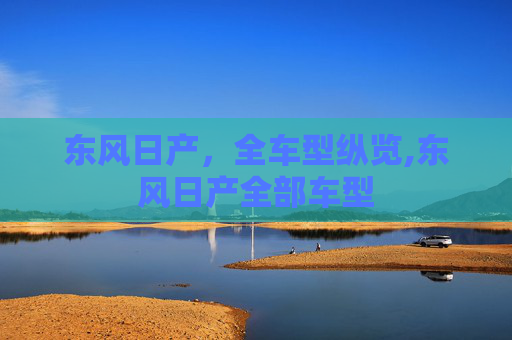 东风日产，全车型纵览,东风日产全部车型